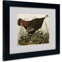 Трговска марка ликовна уметност Голема американска кокошка и млада платно уметност од Johnон Jamesејмс Аудубон, Црна рамка