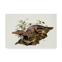 Заштитен знак Ликовна Уметност Бебе Крокодил Платнена Уметност Од Беверли Дојл