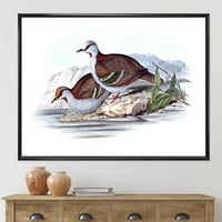 DesignArt 'Антички австралиски птици IX' Традиционална врамена платна wallидна уметност печатење